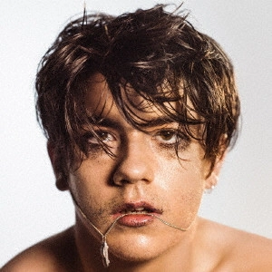 DECLAN MCKENNA / デクラン・マッケンナ / ホワット・ドゥ・ユー・シンク・アバウト・ザ・カー? / WHAT DO YOU THINK ABOUT THE CAR?