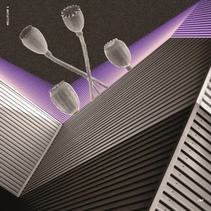 Z@P / SONIC UTOPIA EP