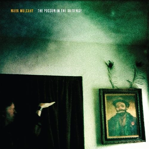 MARK MULCAHY / マーク・マルケイ / THE POSSUM IN THE DRIVEWAY [COLORED LP]
