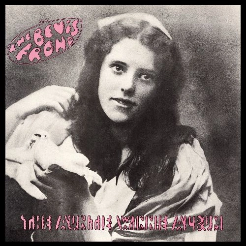 BEVIS FROND / ベヴィス・フロンド / THE AUNTIE WINNIE ALBUM [COLORED 2LP] / THE AUNTIE WINNIE ALBUM [2LP]
