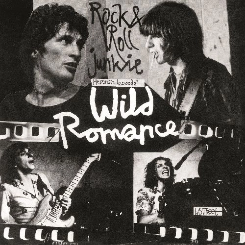 HERMAN BROOD & HIS WILD ROMANCE / ROCK & ROLL JUNKIE [COLORED 7"]