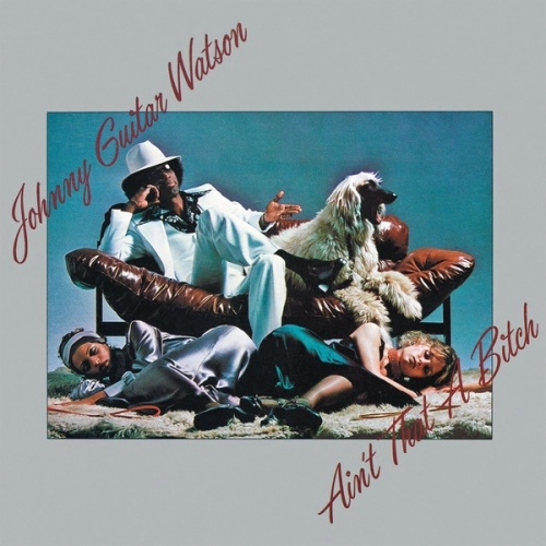 JOHNNY GUITAR WATSON / ジョニー・ギター・ワトスン / AIN'T THAT A BITCH