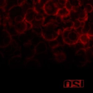 OSI / BLOOD<2LP>