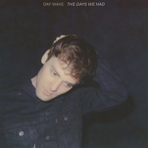 DAY WAVE / デイ・ウェーブ / THE DAYS WE HAD
