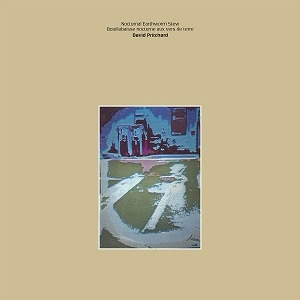 DAVID PRITCHARD / デヴィッド・プリチャード / NOCTURNAL EARTHWORM STEW (CD)