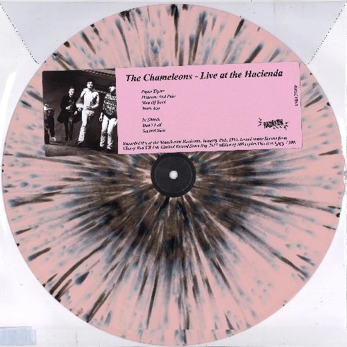 CHAMELEONS / カメレオンズ / LIVE AT THE HACIENDA [LP]