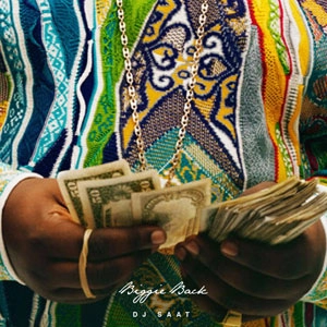 DJ SAAT / BIGGIE BACK