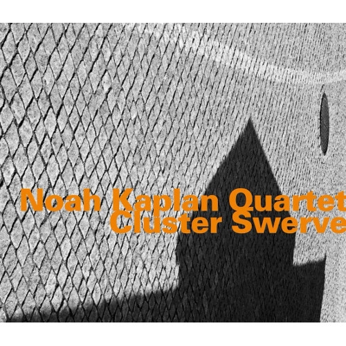 NOAH KAPLAN  / Cluster Swerve