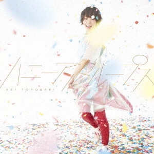 AKI TOYOSAKI / 豊崎愛生 / ハニーアンドループス / HONEY AND LOOPS