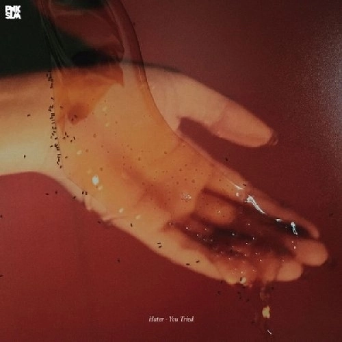 HATER (SWEDEN) / ヘイター (スウェーデン) / YOU TRIED (LP)