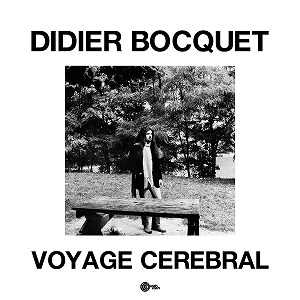 DIDIER BOCQUET / VOYAGE CEREBRAL