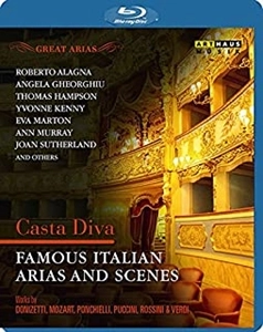 VARIOUS ARTISTS (CLASSIC) / オムニバス (CLASSIC) / 偉大なるアリア集:清らかな女神よ ～イタリア･オペラの名アリアと情景集 / GREAT ARIAS CASTA DIVA