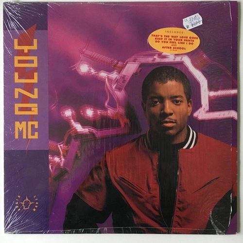 YOUNG MC / BRAINSTORM