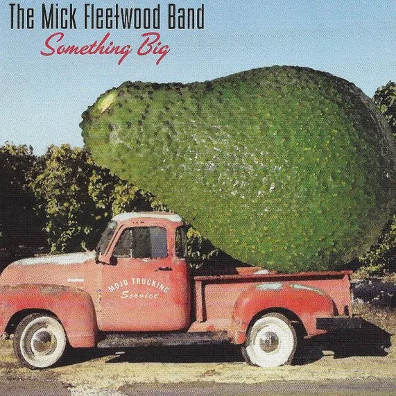 MICK FLEETWOOD / ミック・フリートウッド / SOMETHING BIG