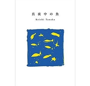 Keishi Tanaka / 真夜中の魚