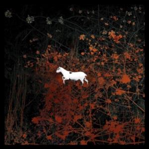 LES DISCRETS / PREDATEURS<2CD+DVD-ROM+ORANGE VINYL/COMPLETE BOX>