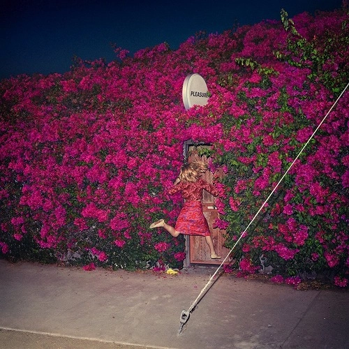 FEIST / ファイスト / PLEASURE (LIMITED DIGIPACK)