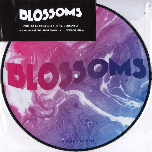 BLOSSOMS (UK ROCK) / ブロッサムズ / UNPLUGGED AT FESTIVAL NO.6 [10"]