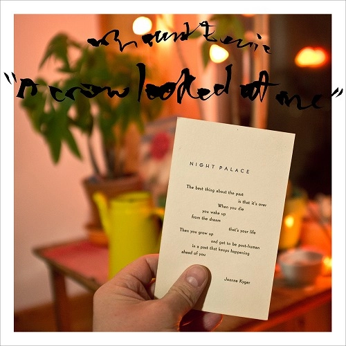 MOUNT EERIE / マウント・イアリ / ア･クロウ･ルックト･アット･ミー
