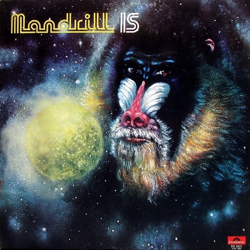 MANDRILL / マンドリル / MANDRILL IS