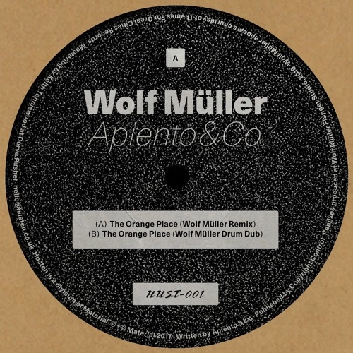 APIENTO & CO. / ORANGE PLACE (INCL. WOLF MULLER REMIXES)