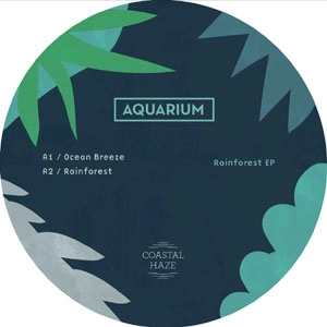 AQUARIUM/SOTOKANDA DEEPSPACE / AQUARIUM/外神田DEEPSPACE / RAINFOREST 12