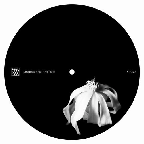LADY STARLIGHT / UNTITLED