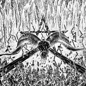 CELESTIAL BODIES / SPIT FORTH FROM CHAOS<DIGI>