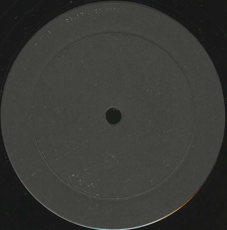 V.A. / オムニバス / NOW THAT I GOT IT