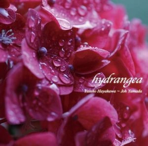 YASUKO HAYAKAWA / 早川泰子 / ハイドランジア / Hydrangea