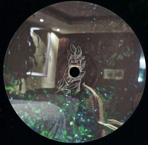 V.A. / オムニバス / BOTANIC HOUSE VOL.1 - ARECACEAE