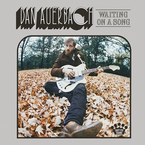 DAN AUERBACH / ダン・オーバック / WAITING ON A SONG [VINYL] 