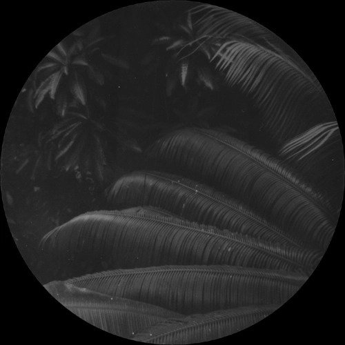 BEN KACZOR / MIND FICTION EP