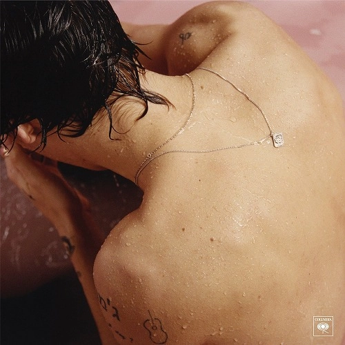 HARRY STYLES / ハリー・スタイルズ / HARRY STYLES (VINYL)