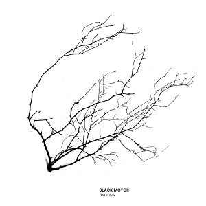BLACK MOTOR / ブラック・モーター / BRANCHES
