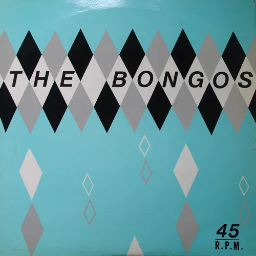 BONGOS / HUNTING