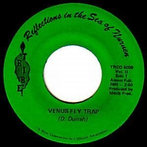 DOUG HAMMOND / ダグ・ハモンド / VENUS FLY TRAP