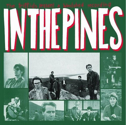 TRIFFIDS / トリフィッズ / IN THE PINES