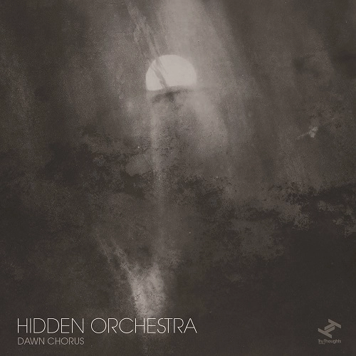 HIDDEN ORCHESTRA / ヒドゥン・オーケストラ / DAWN CHORUS (LTD)