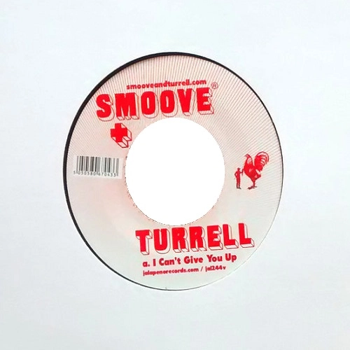 SMOOVE & TURRELL / スムーヴ&ターレル / I CAN'T GIVE YOU UP / HAVE LOVE