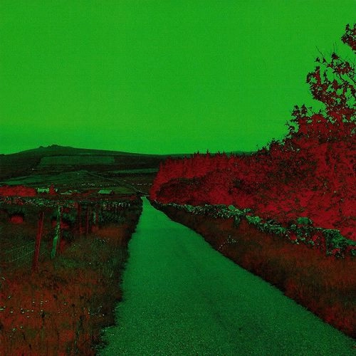 PLANK AND ISHQ / ZEAL MONACHORUM
