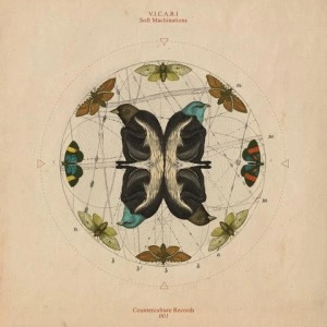 V.I.C.A.R.I. / SOFT MACHINATIONS