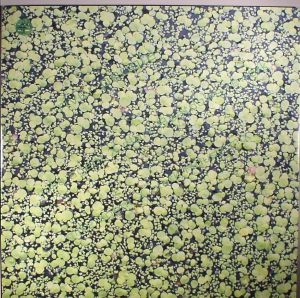 MIKE CLARK / マイク・クラーク / RIVER PEOPLE