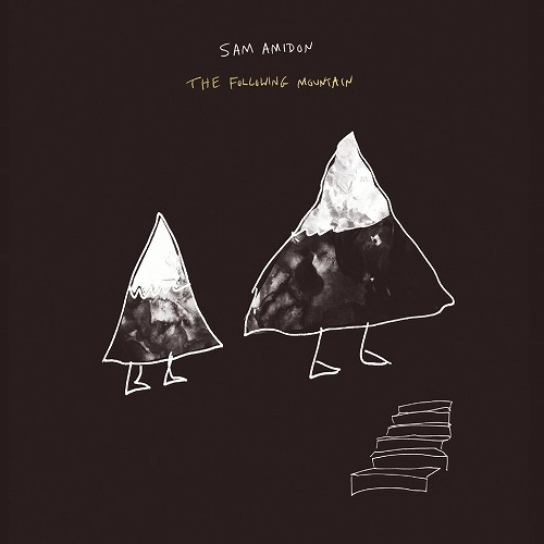 SAM AMIDON / サム・アミドン / THE FOLLOWING MOUNTAIN / THE FOLLOWING MOUNTAIN  