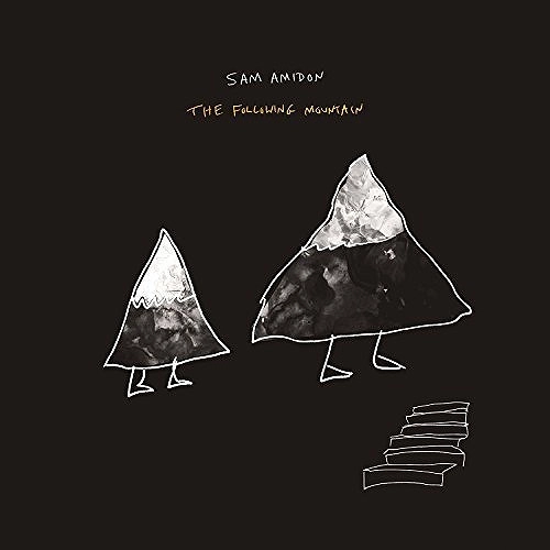 SAM AMIDON / サム・アミドン / THE FOLLOWING MOUNTAIN [VINYL] 