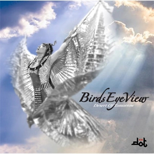 D・O・T / BIRDS EYE VIEW