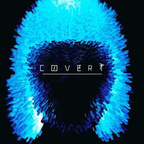 V.A. / オムニバス / COVERT