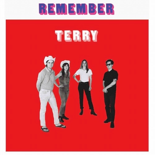 TERRY (INDIE ROCK) / REMENBER TERRY