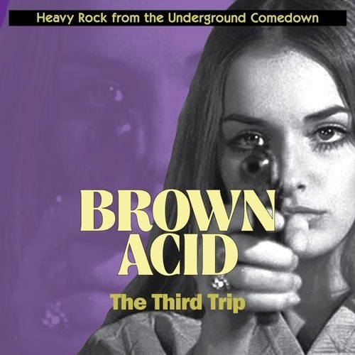 V.A. (BROWN ACID) / BROWN ACID: THE THIRD TRIP / BROWN ACID: THE THIRD TRIP (CD)
