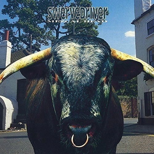 SWERVEDRIVER / スワーヴドライヴァー / MEZCAL HEAD